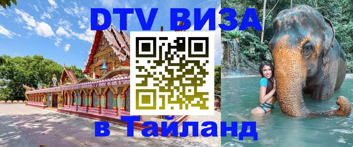 Сколько стоит DTV виза — актуальные цены, оформление даже без документов - Ташкент 